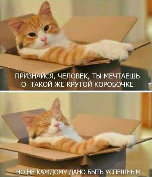 Здравствуйте