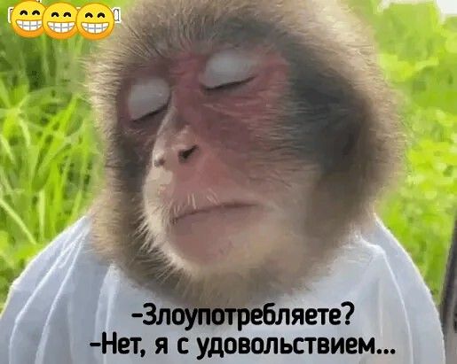 Алкопост 28.08.21