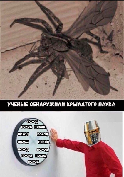 Весёлый полтишок 15.10