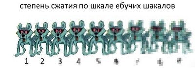 Права купил, ездить не купил