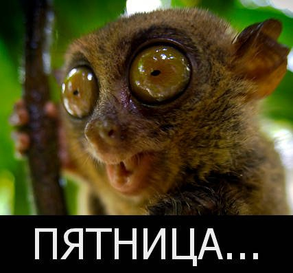 ПяТниЦо! (12.11.2021)