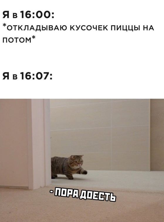 Всяческие картинки 17.01.2022