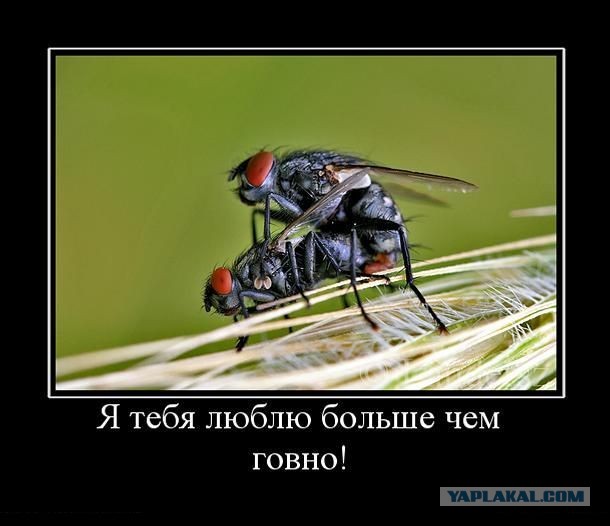 Так себе картинки 19.04.22
