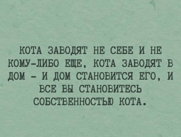Так себе картинки 10.06.22