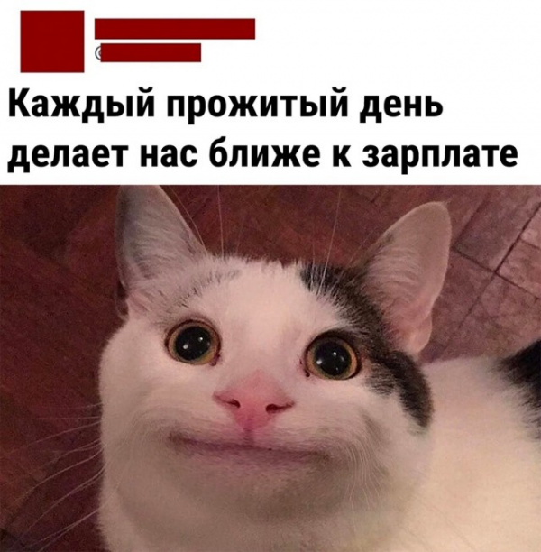 Картинки и мемы для настроения - 29