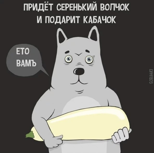 Картинки и мемы для настроения. Выходные рядышком...