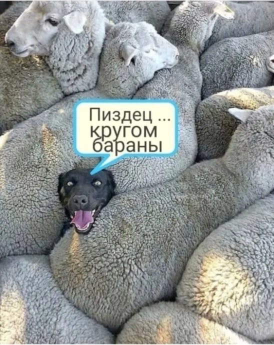 Картинки и мемы. Выходные близко, близко...