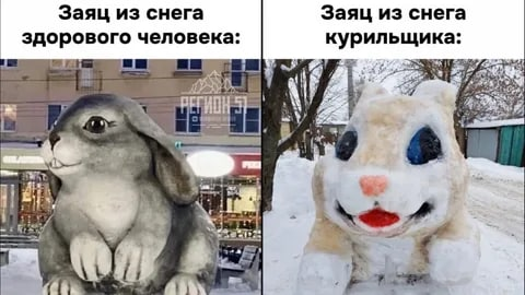 Заяц
