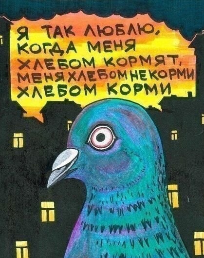 Забавные комментарии из социальных сетей (06.02.23)