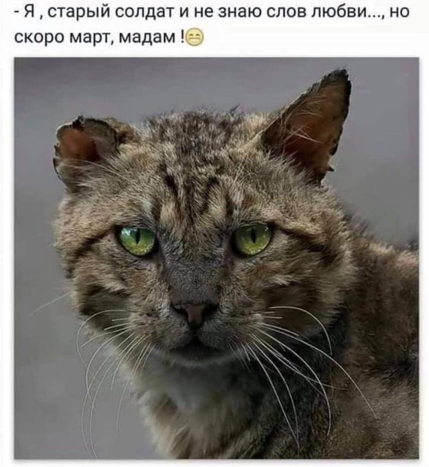 Нуштош 28.02.23