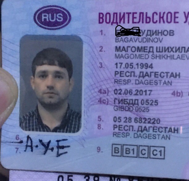 ЦИК посчитал странной подпись котиком участника инициативной группы Екатерины Дунцовой