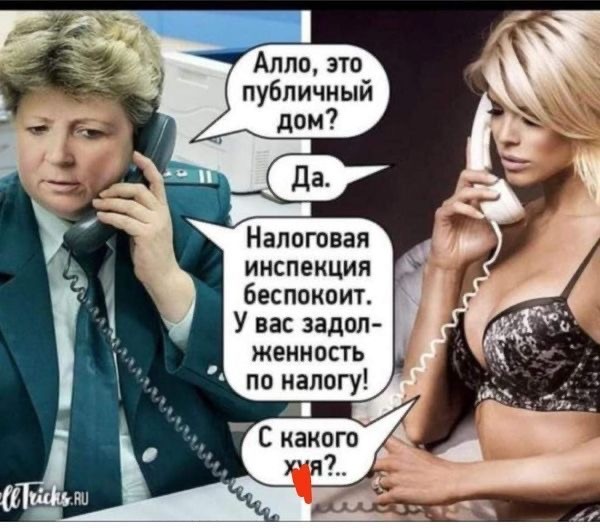 Так себе картинки 23.12.23