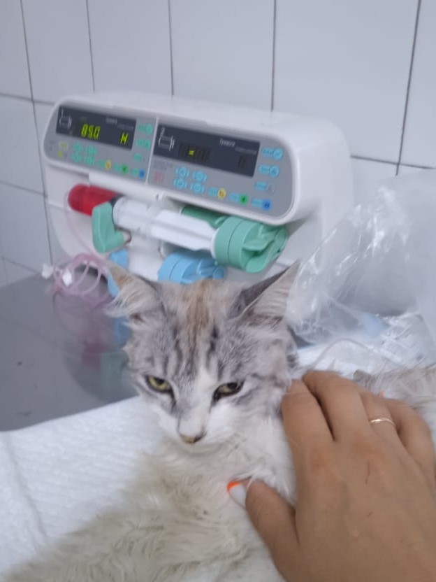 Горе пришло в мой дом