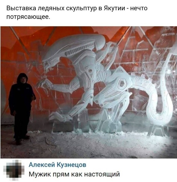 Так себе картинки 31.12.24