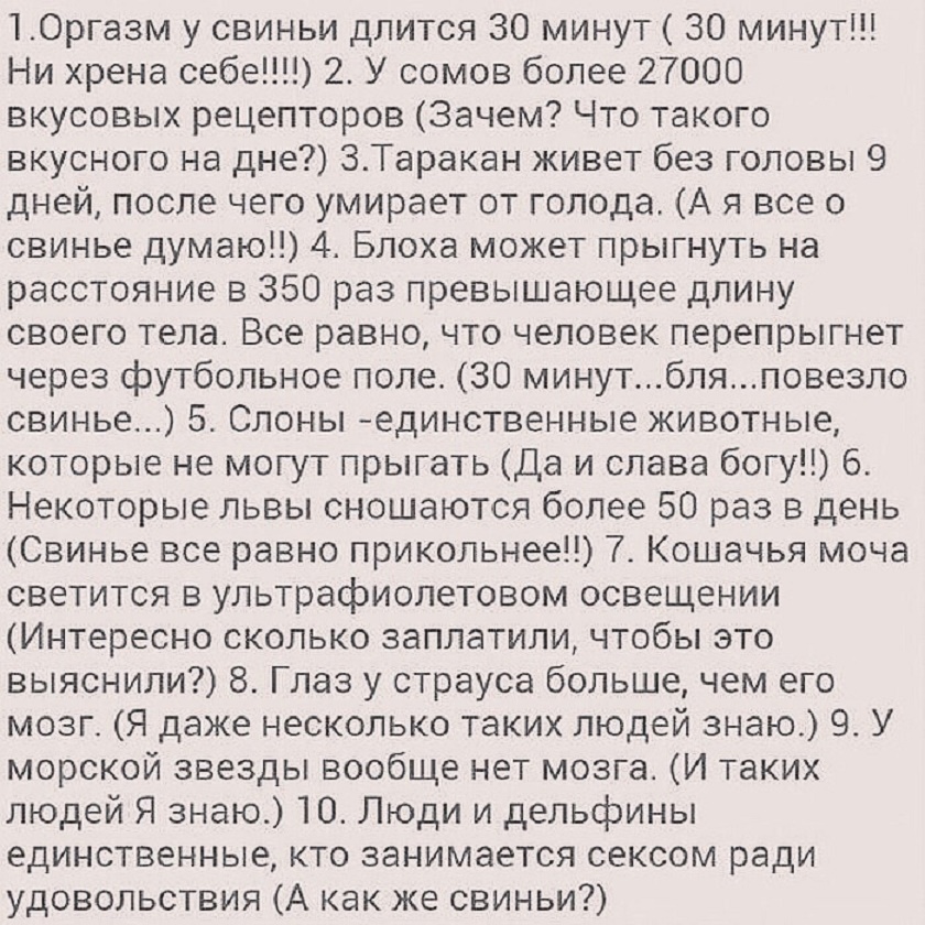 20138905.jpg