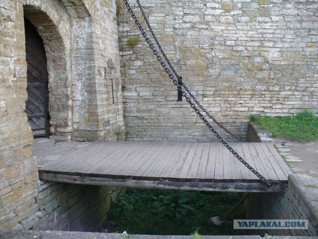 Самое главное - вовремя сибаса