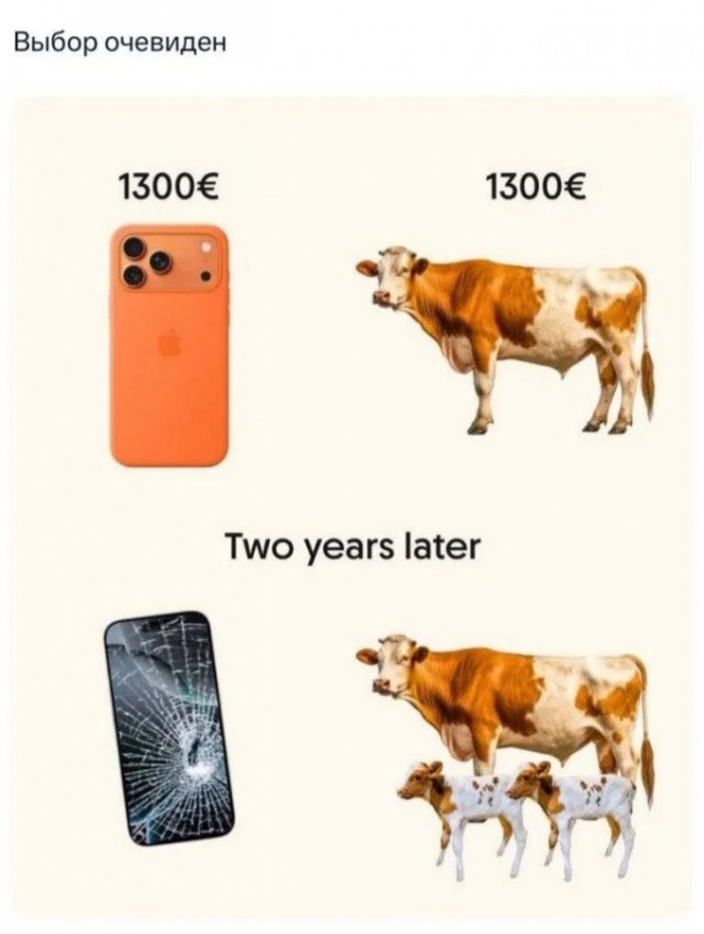 Пошлый и взрослый юмор