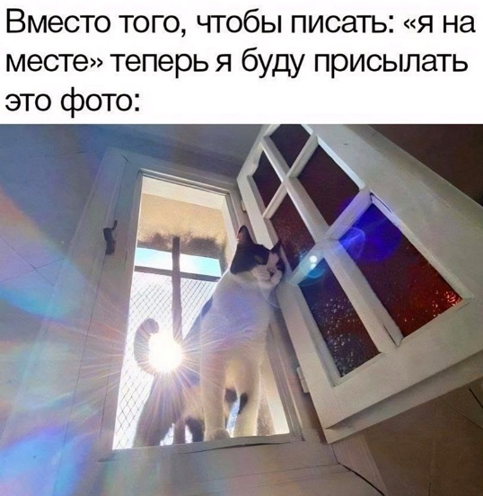 Когда не с кем выпить