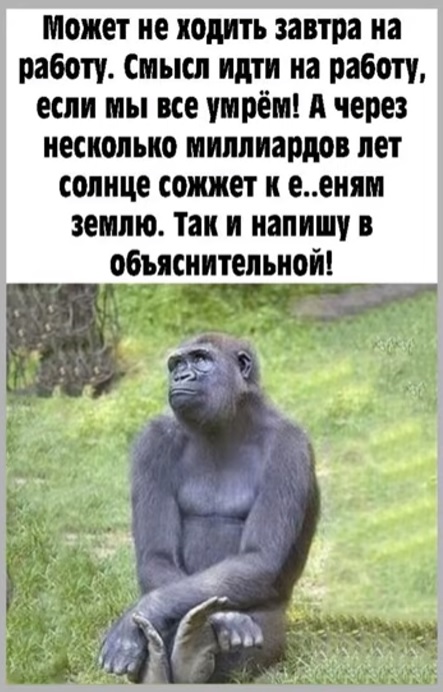 Веселые картинки в маленькую пятницу (24.12)
