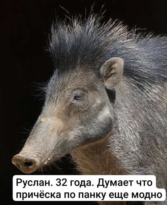 Картинки для деградации 158 (разной степени свежести)