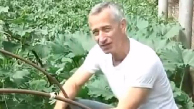 Да будет свет