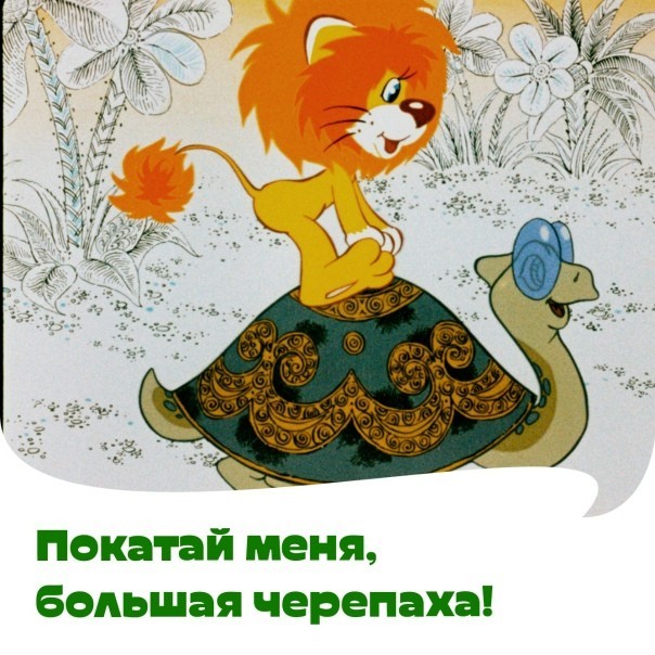 Черепахе показали как ускориться