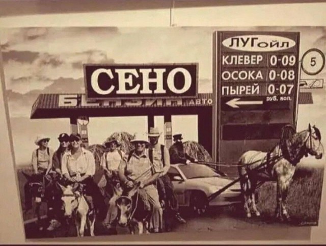 Бензин есть, но вы следите. Ленобласть договорилась до канистры