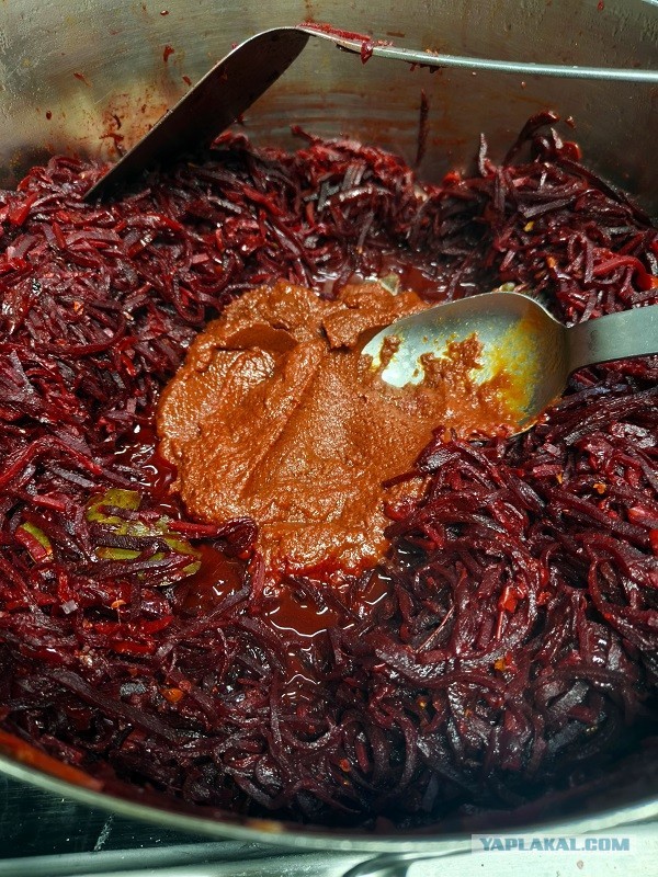 Трактат о борще без мяса и на воде