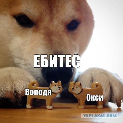 "Я просто романтик, я не могу так сразу"