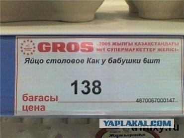 Что мы видим вокруг себя