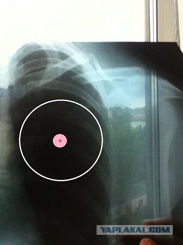 Давайте знакомиться