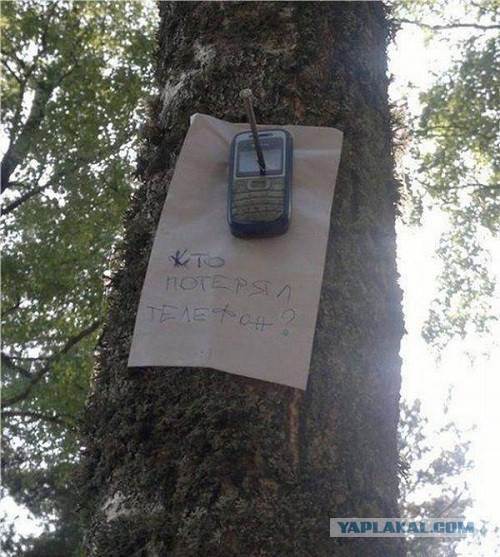 Необычная находка