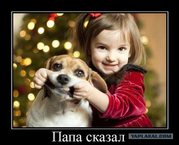 Улыбнуло часть "2"