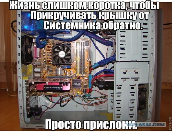 Немного позитива на пятницу.