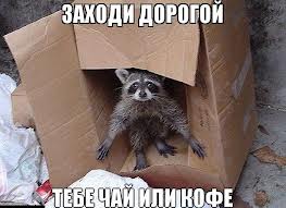 Чёрт, чёрт, чёрт!