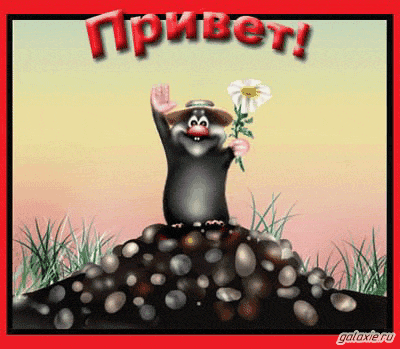 http://s00.yaplakal.com/pics/pics_original/5/0/9/3807905.gif
