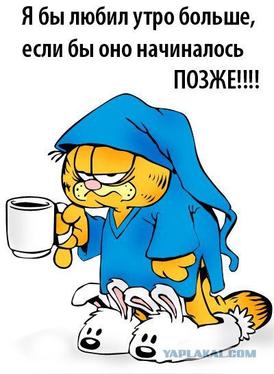 Прикольные картинки.