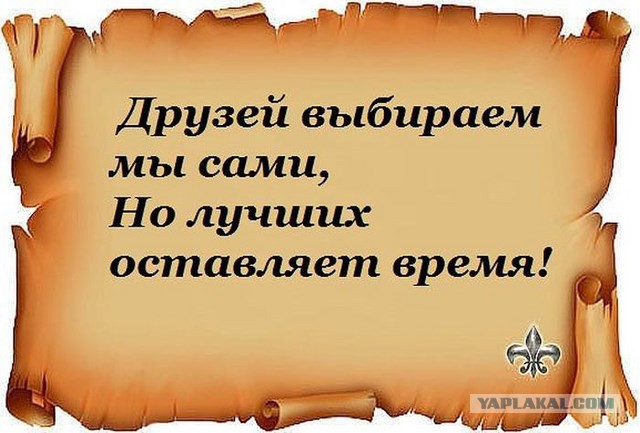20 фактов обо всем
