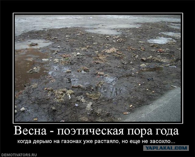 Налог на домашних животных