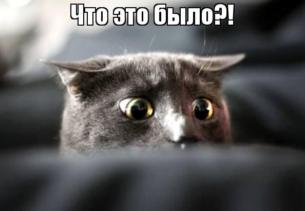 Левел ап в свадебном видео.
