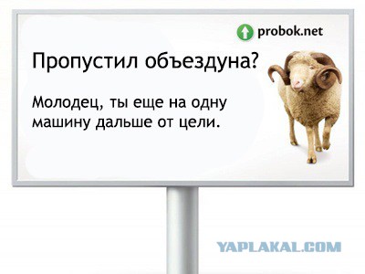 Дай дураку дорогу?
