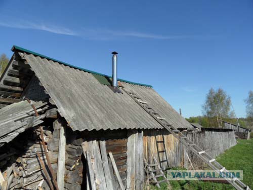 Косметический ремонт бани