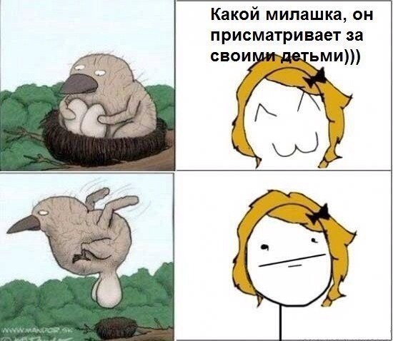 Жизнь с БОЛЬШИМИ яйцами: плюcы и мунуcы!