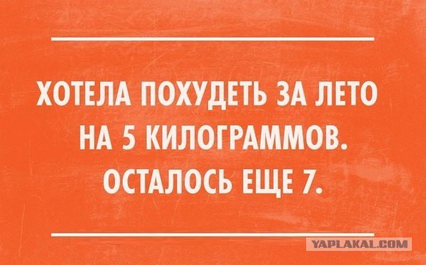 Я Хочу Похудеть Картинки Прикол.