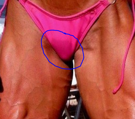 Папа решил отдать дочку в спортзал...