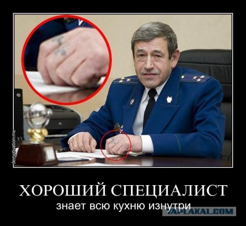 Подборка прикольных фото на пятницу