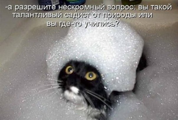 картинки на выходные