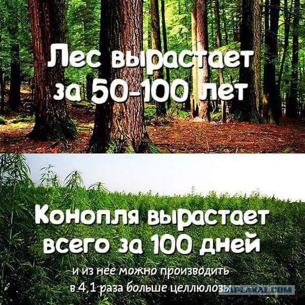 Кто то мечтает о такой работе...........