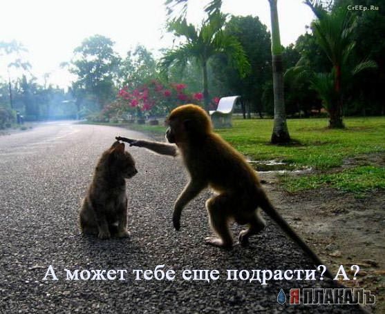 Уже да :) Ужо пятнецца...