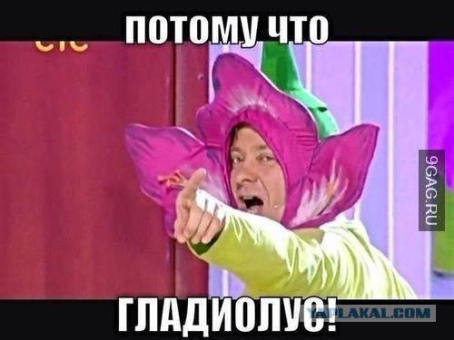 Озарение во время ответа в игре Что? Где? Когда?